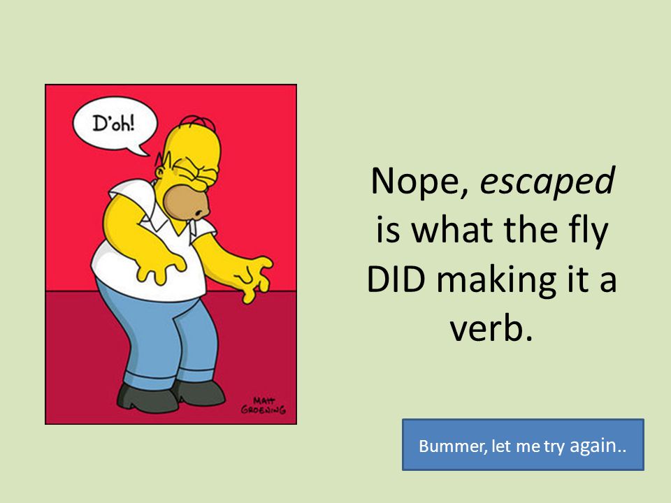 Nope, escaped is what the fly DID making it a verb.