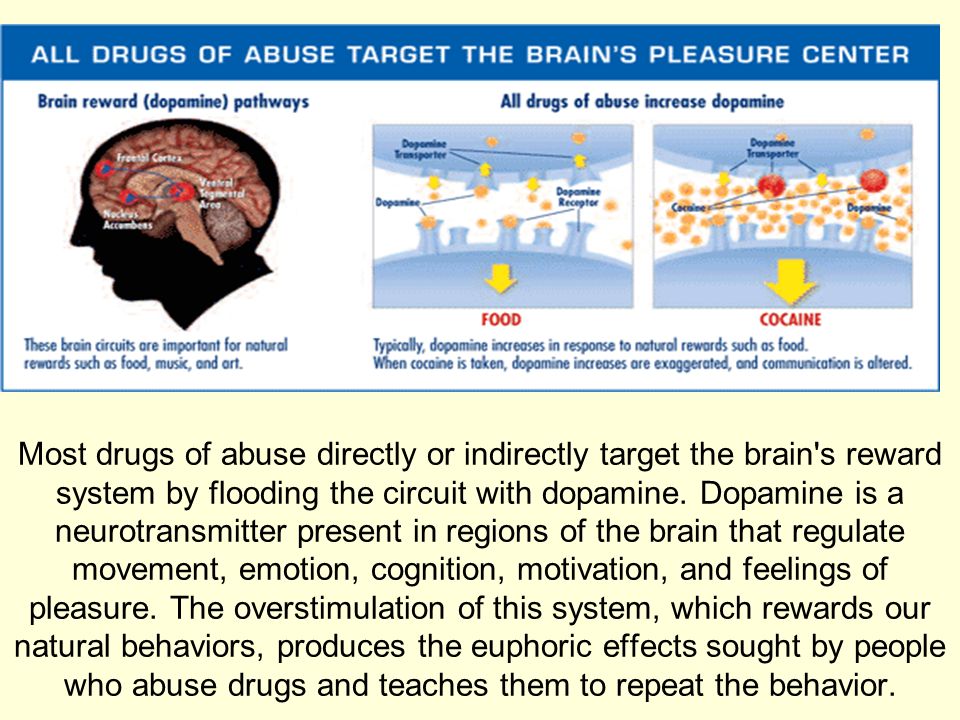 Most+drugs+of+abuse+directly+or+indirectly+target+the+brain+s+reward+system+by+flooding+the+circuit+with+dopamine..jpg