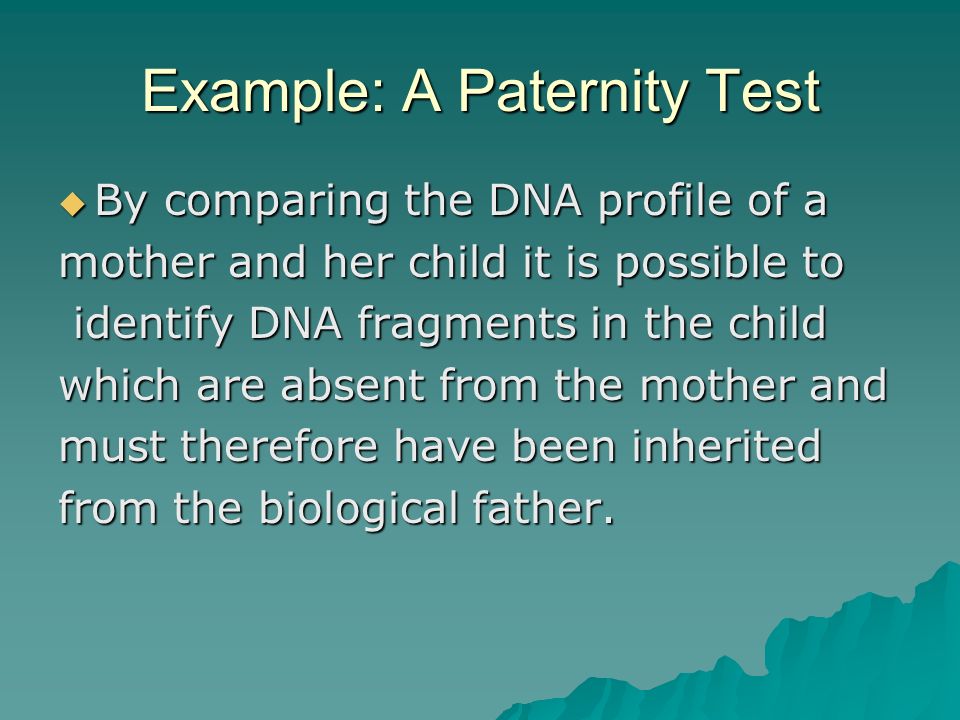 Example: A Paternity Test