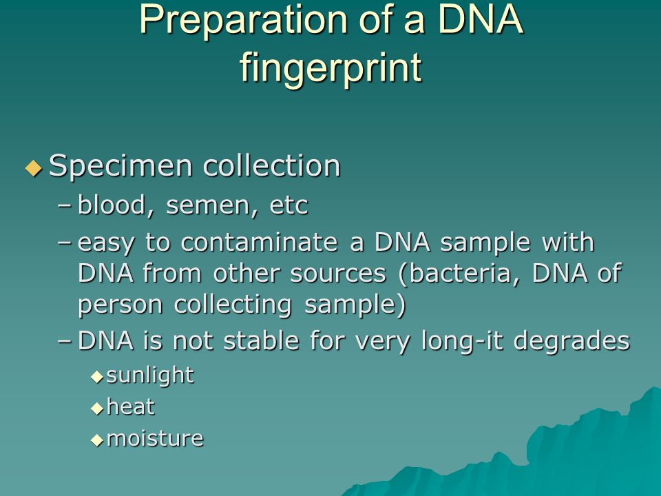Preparation of a DNA fingerprint