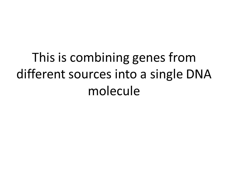 This is combining genes from different sources into a single DNA molecule