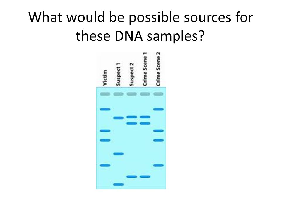 What would be possible sources for these DNA samples