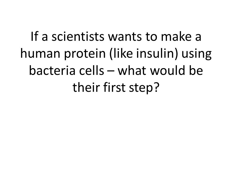 If a scientists wants to make a human protein (like insulin) using bacteria cells – what would be their first step