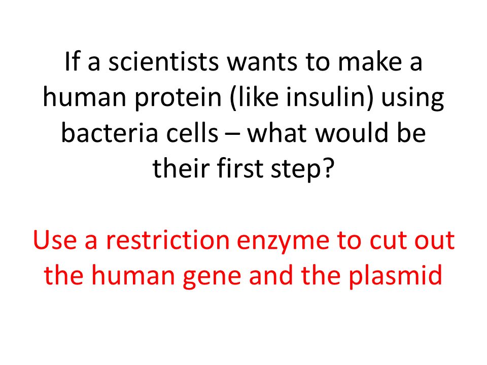 If a scientists wants to make a human protein (like insulin) using bacteria cells – what would be their first step.