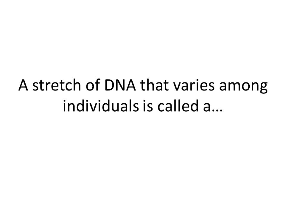 A stretch of DNA that varies among individuals is called a…