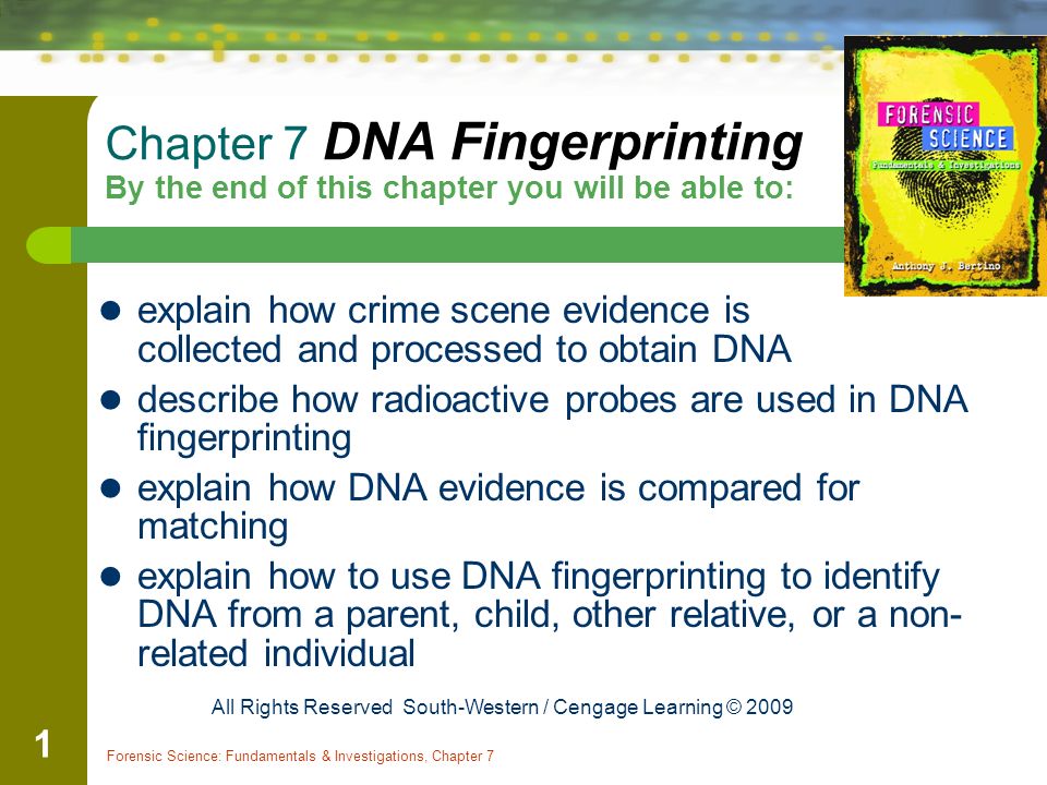 Chapter 7 DNA Fingerprinting By the end of this chapter you will be able to: