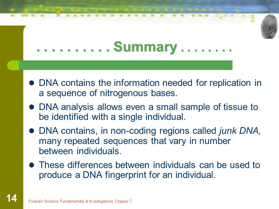 Summary DNA contains the information needed for replication in a sequence of nitrogenous bases.