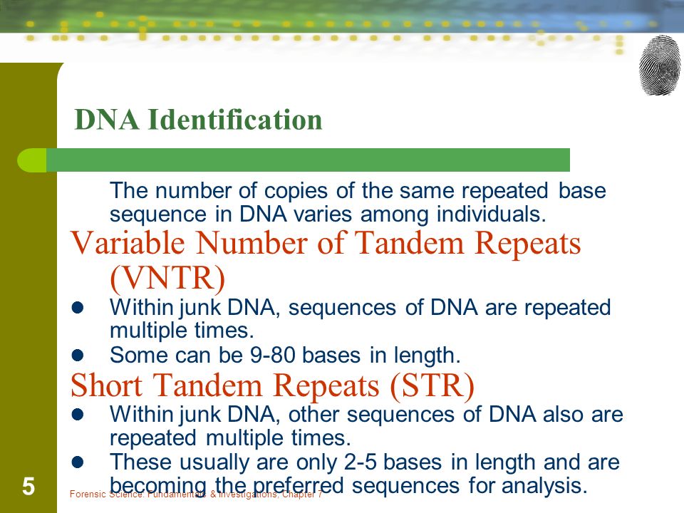 Variable Number of Tandem Repeats (VNTR)