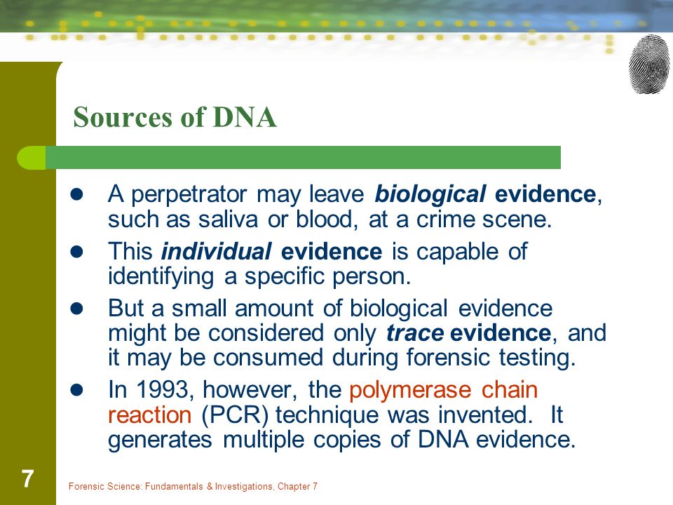 Sources of DNA A perpetrator may leave biological evidence, such as saliva or blood, at a crime scene.