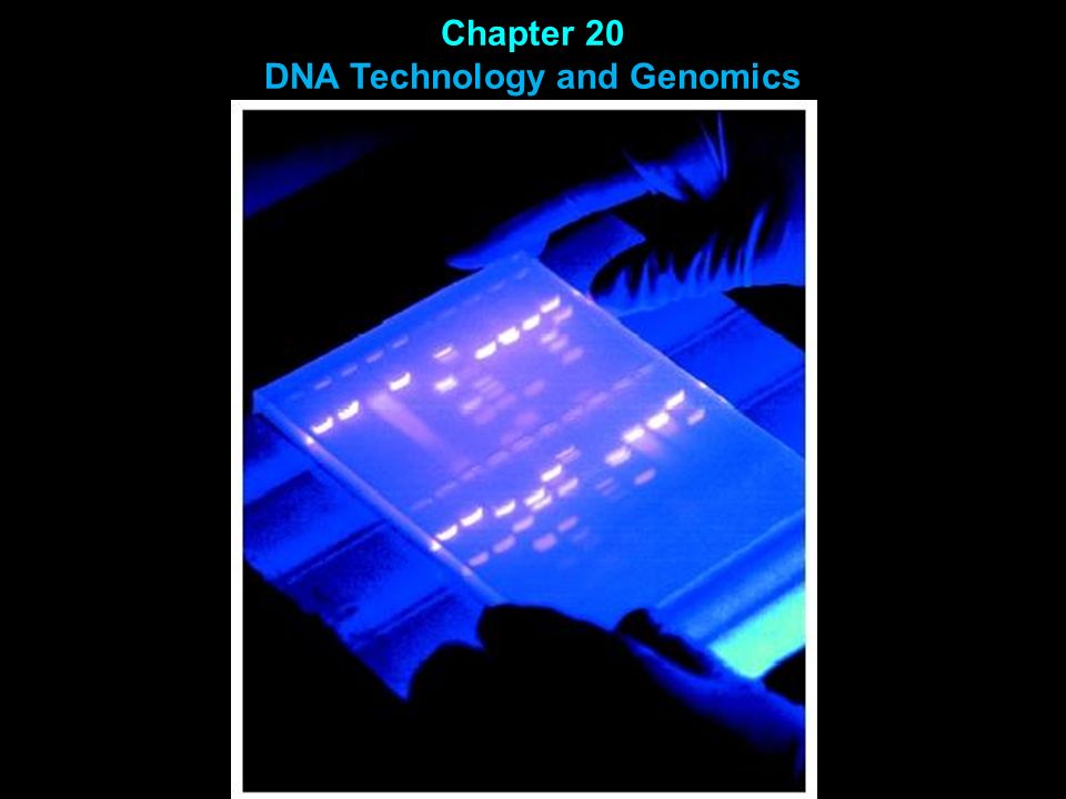 Chapter 20 DNA Technology and Genomics