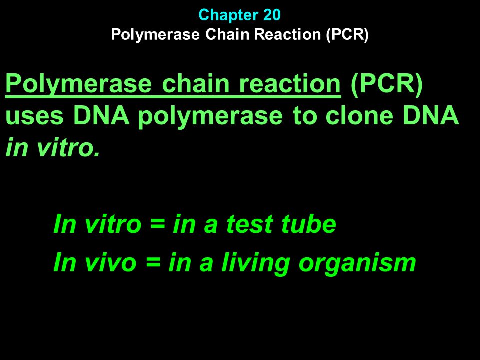 Chapter 20 Polymerase Chain Reaction (PCR)