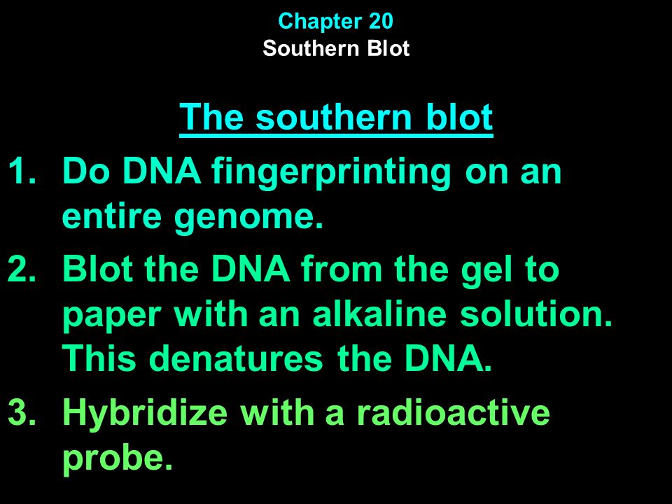 Do DNA fingerprinting on an entire genome.