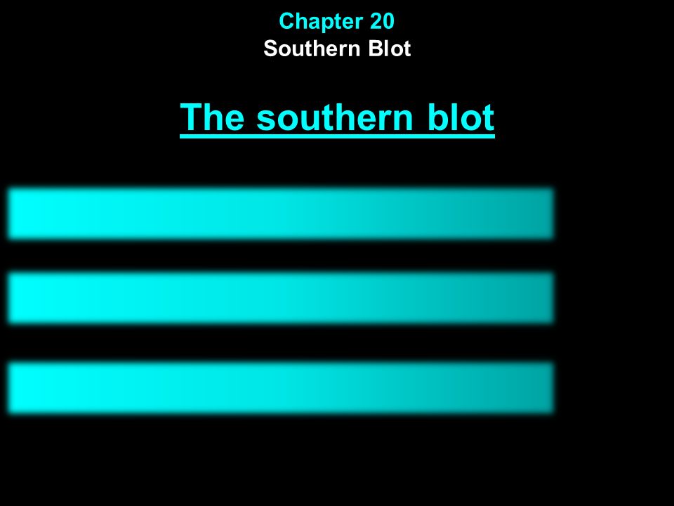 Chapter 20 Southern Blot The southern blot