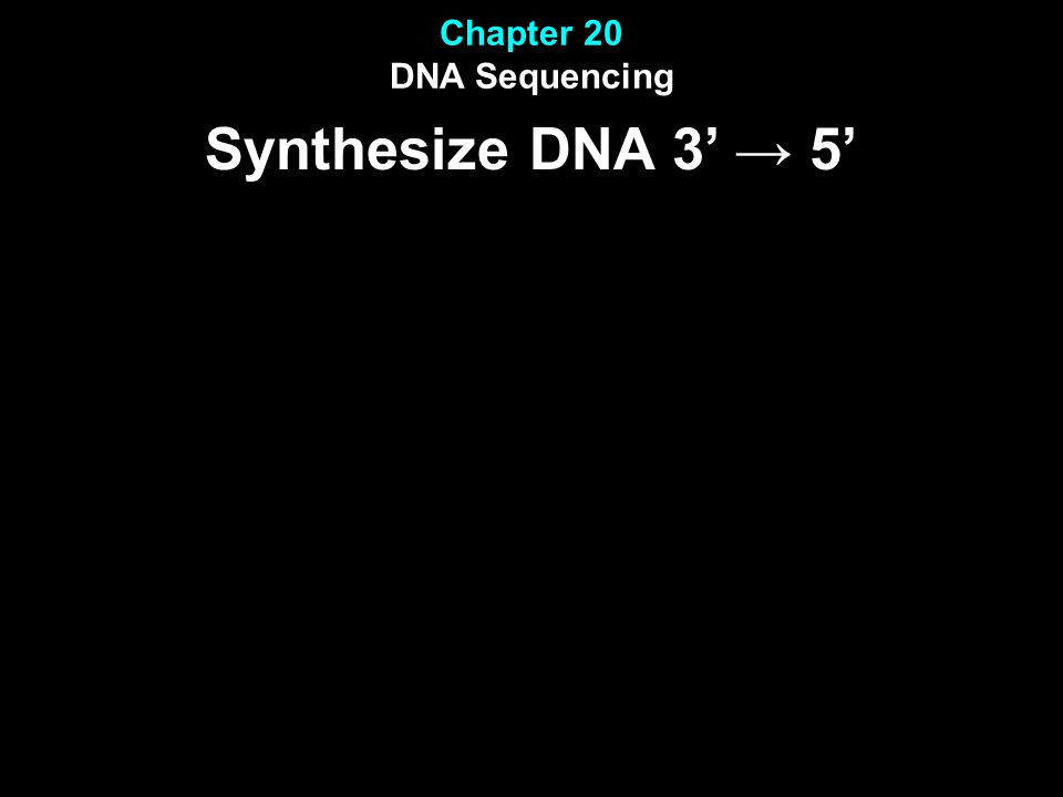 Chapter 20 DNA Sequencing