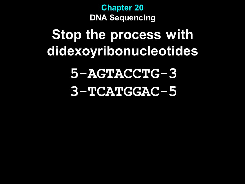 Chapter 20 DNA Sequencing Stop the process with didexoyribonucleotides