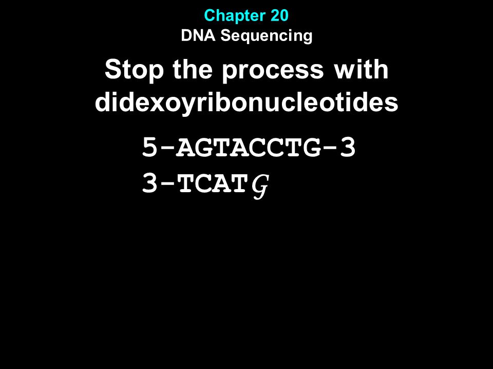 Chapter 20 DNA Sequencing Stop the process with didexoyribonucleotides