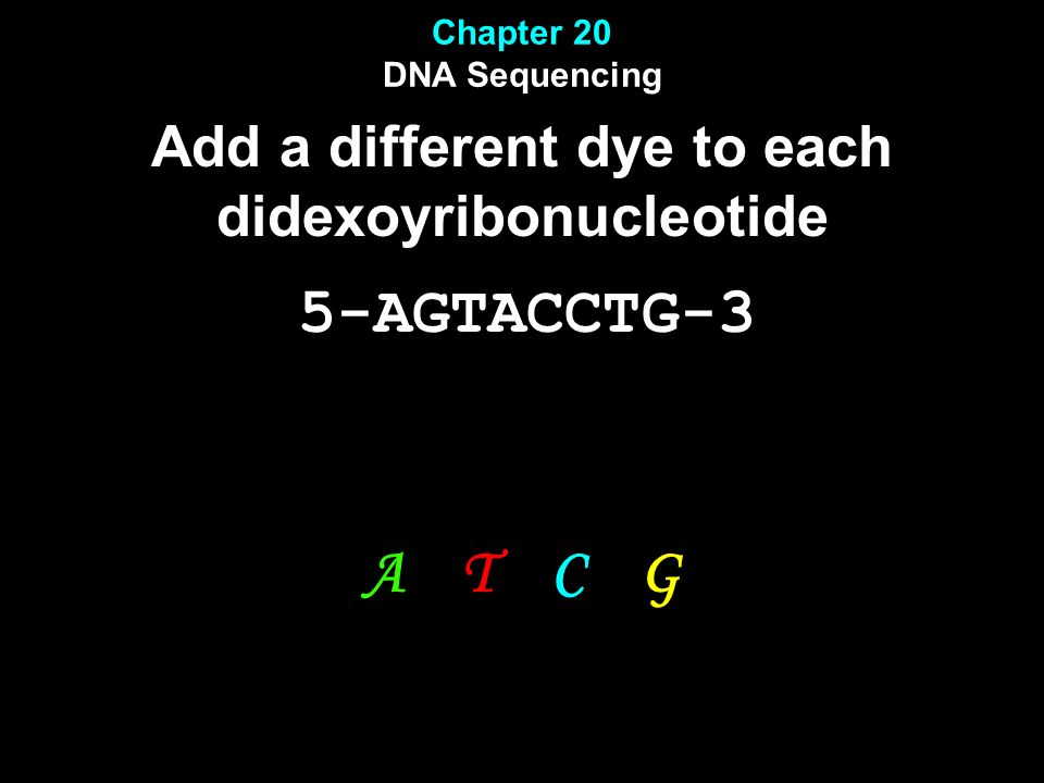 5-AGTACCTG-3 A T C G Add a different dye to each didexoyribonucleotide