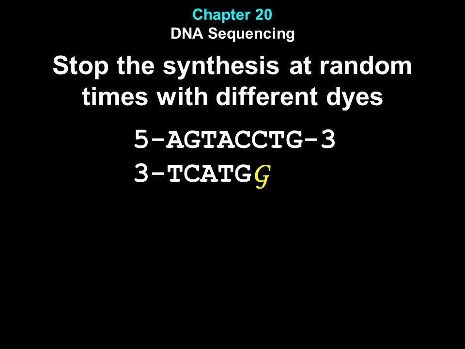 Chapter 20 DNA Sequencing