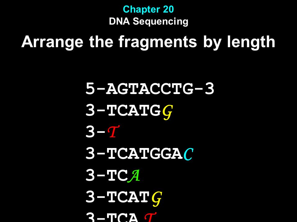 Chapter 20 DNA Sequencing Arrange the fragments by length