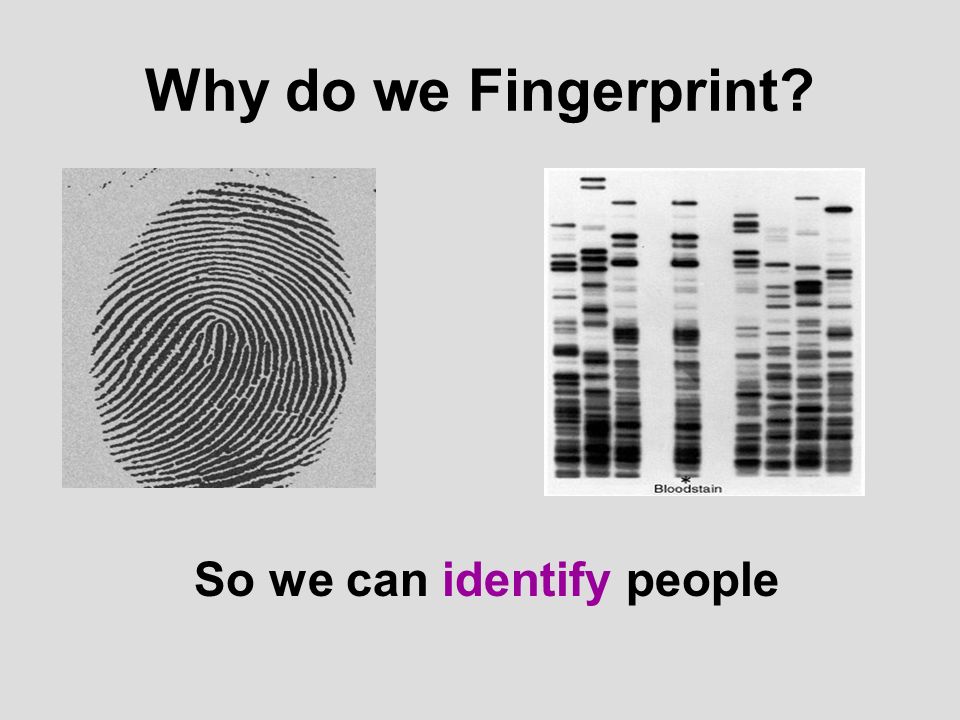 Why do we Fingerprint So we can identify people