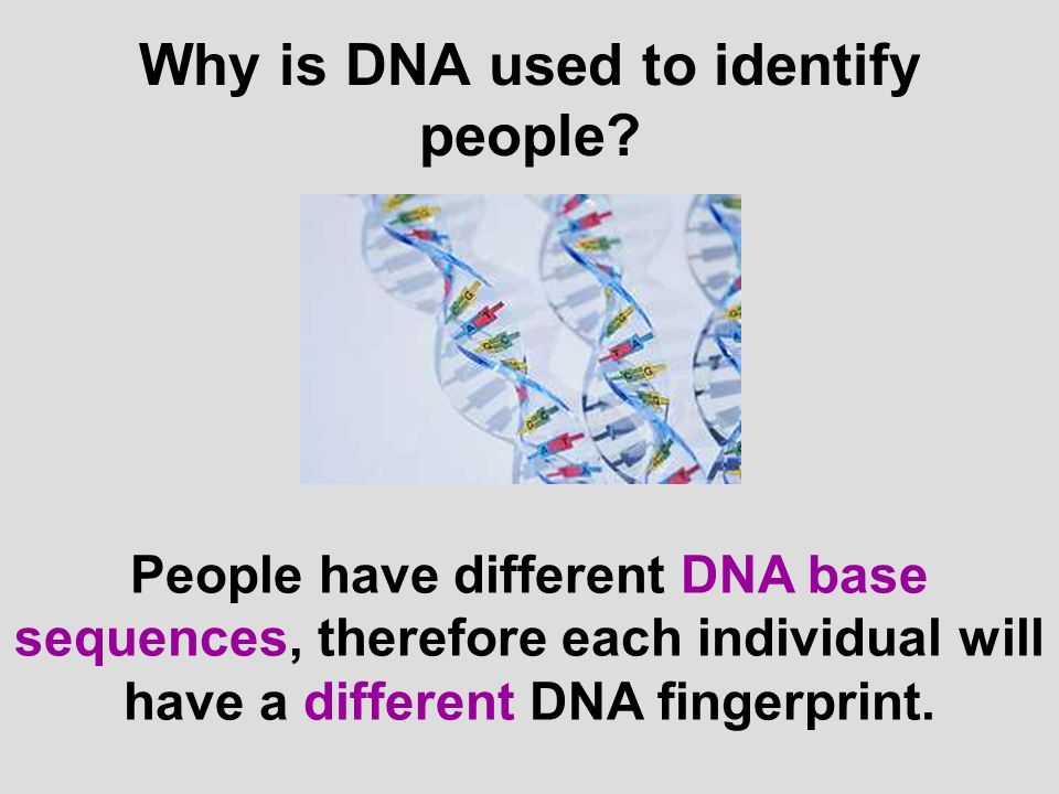 Why is DNA used to identify people