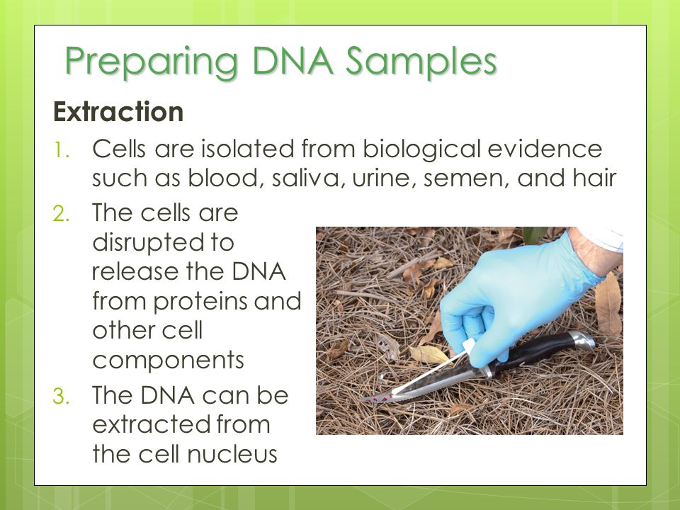Preparing DNA Samples Extraction