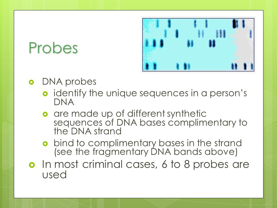 Probes In most criminal cases, 6 to 8 probes are used DNA probes