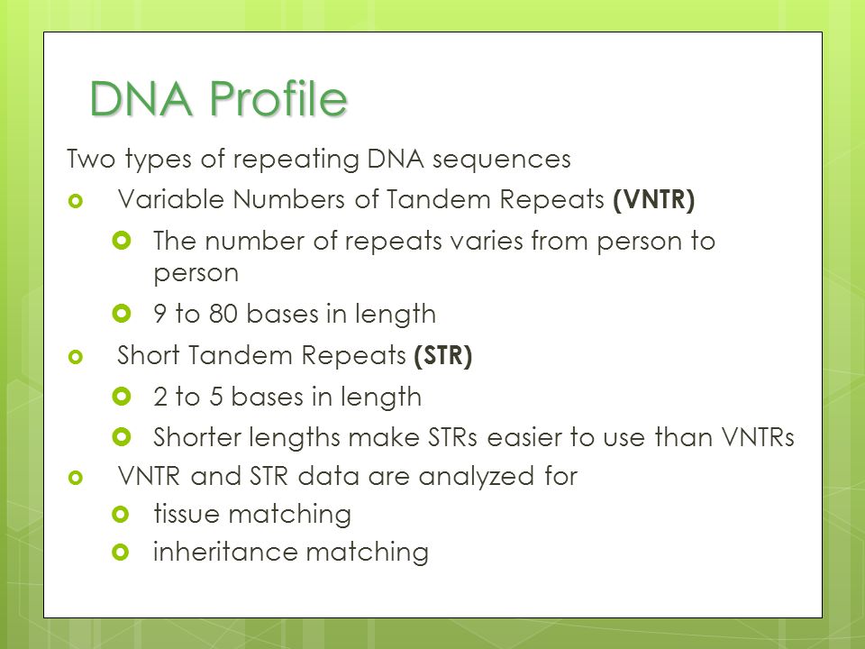 DNA Profile Two types of repeating DNA sequences