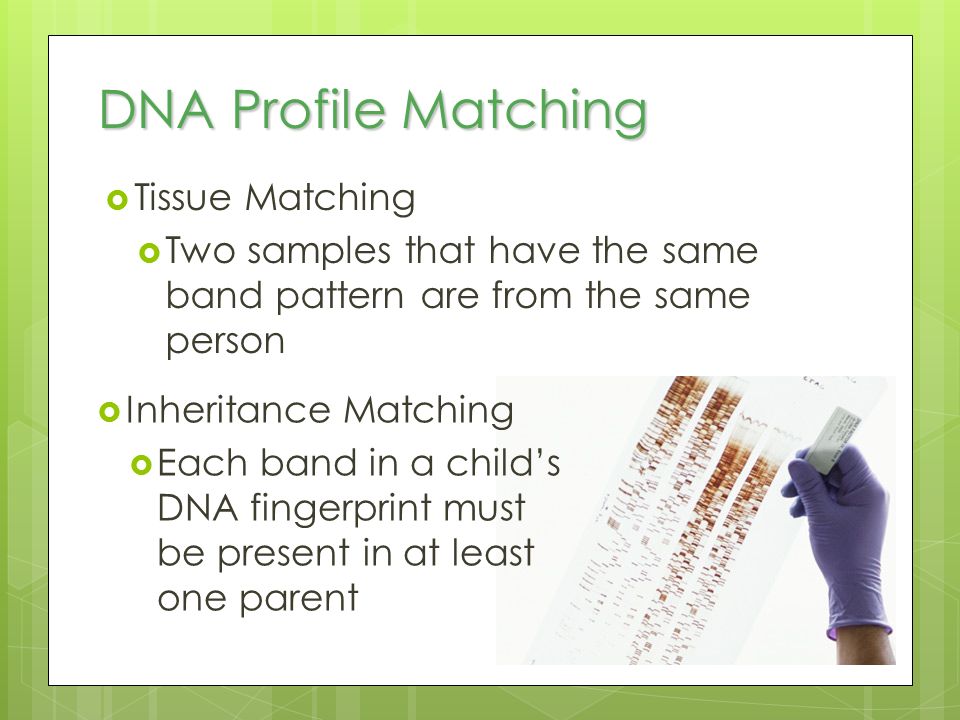 DNA Profile Matching Tissue Matching