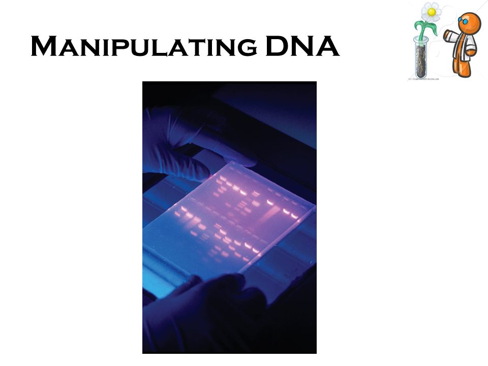 Manipulating DNA
