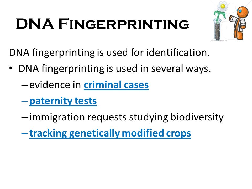 DNA Fingerprinting DNA fingerprinting is used for identification.