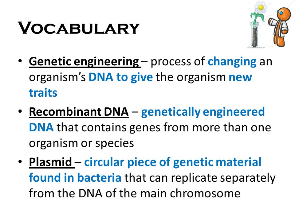 Vocabulary Genetic engineering – process of changing an organism’s DNA to give the organism new traits.