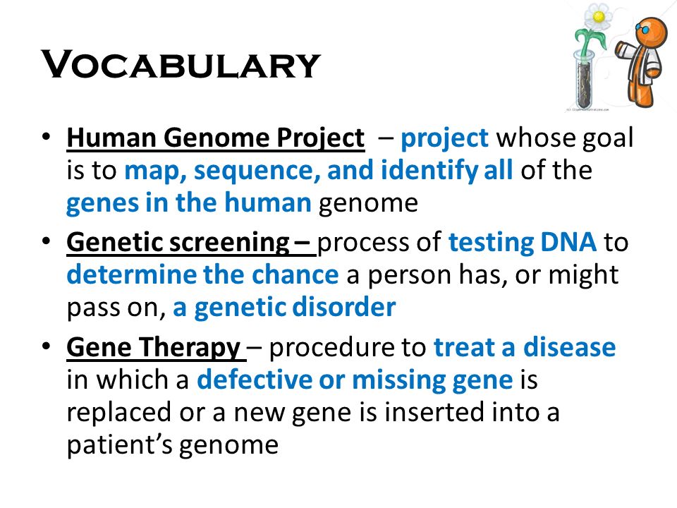 Vocabulary Human Genome Project – project whose goal is to map, sequence, and identify all of the genes in the human genome.