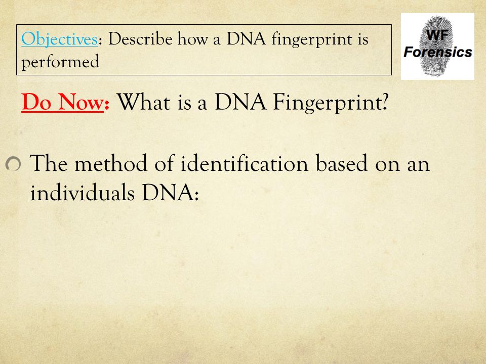 Do Now: What is a DNA Fingerprint