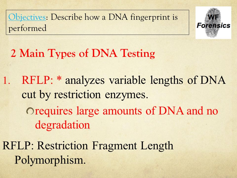 2 Main Types of DNA Testing
