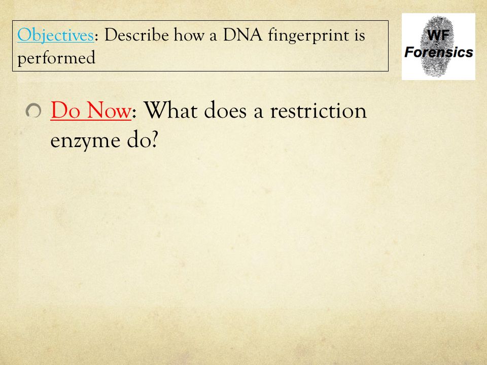 Do Now: What does a restriction enzyme do