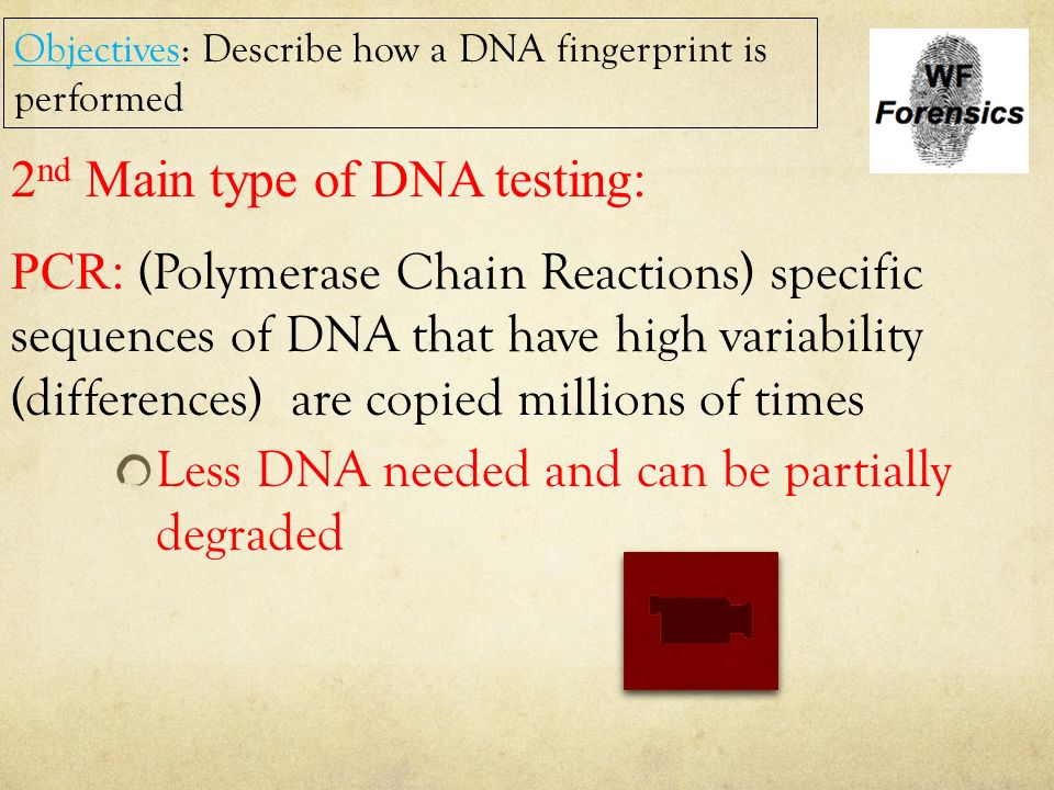 2nd Main type of DNA testing: