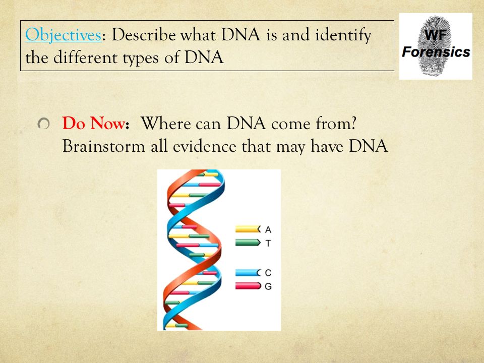 Objectives: Describe what DNA is and identify the different types of DNA