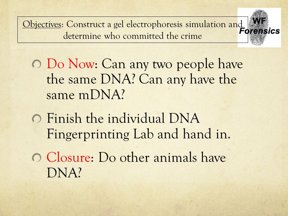 Finish the individual DNA Fingerprinting Lab and hand in.