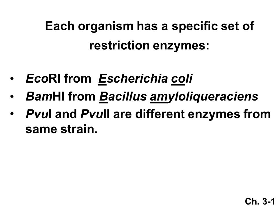 Each organism has a specific set of restriction enzymes: