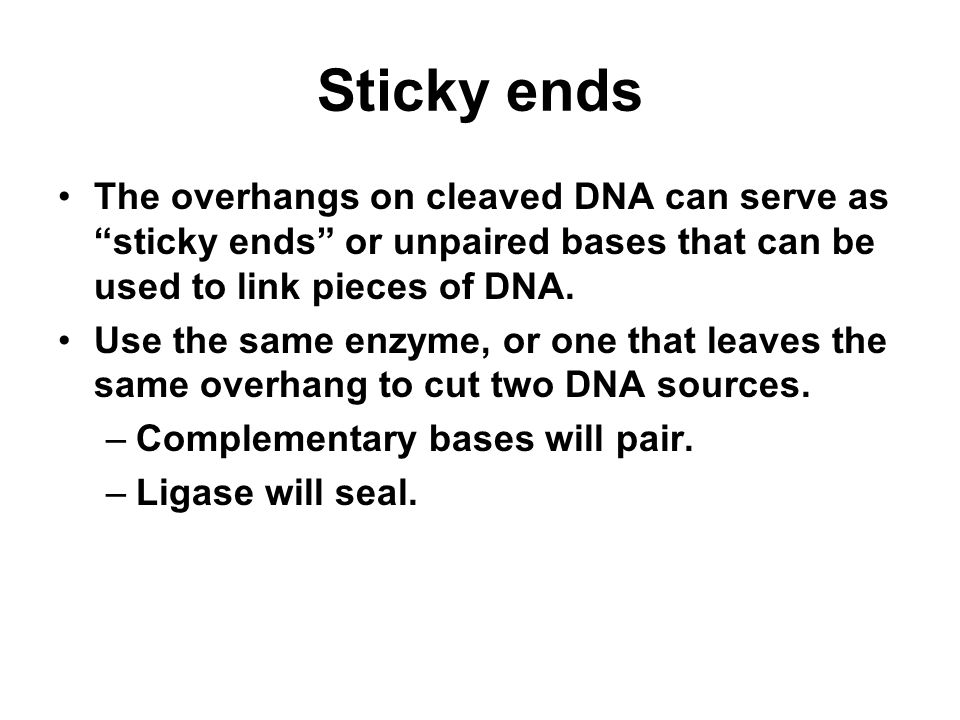 Sticky ends The overhangs on cleaved DNA can serve as sticky ends or unpaired bases that can be used to link pieces of DNA.