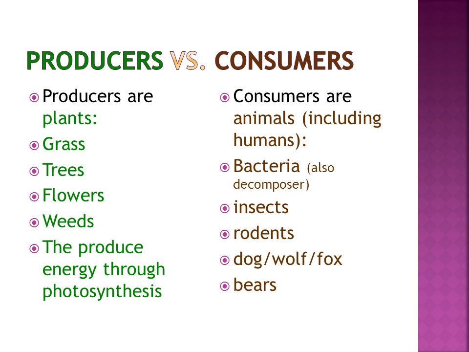 Producers vs. Consumers