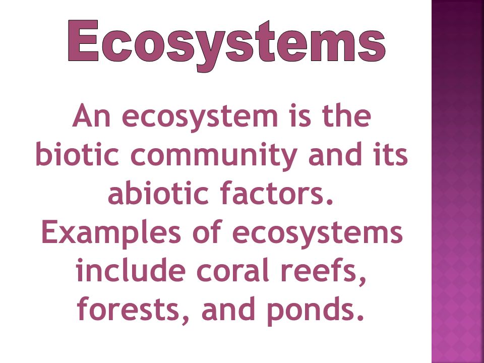 Ecosystems An ecosystem is the biotic community and its abiotic factors.