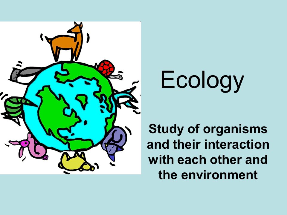 Ecology Study of organisms and their interaction with each other and the environment