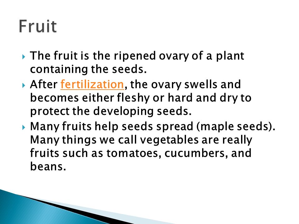 Fruit The fruit is the ripened ovary of a plant containing the seeds.