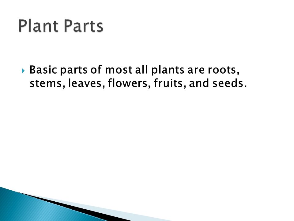 Plant Parts Basic parts of most all plants are roots, stems, leaves, flowers, fruits, and seeds.
