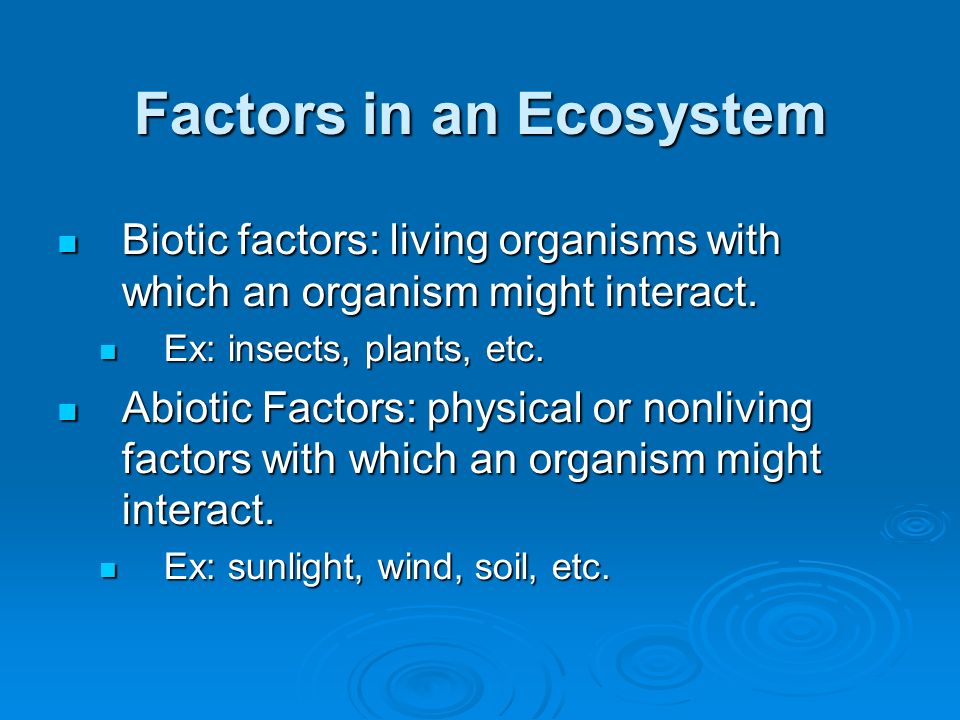 Factors in an Ecosystem