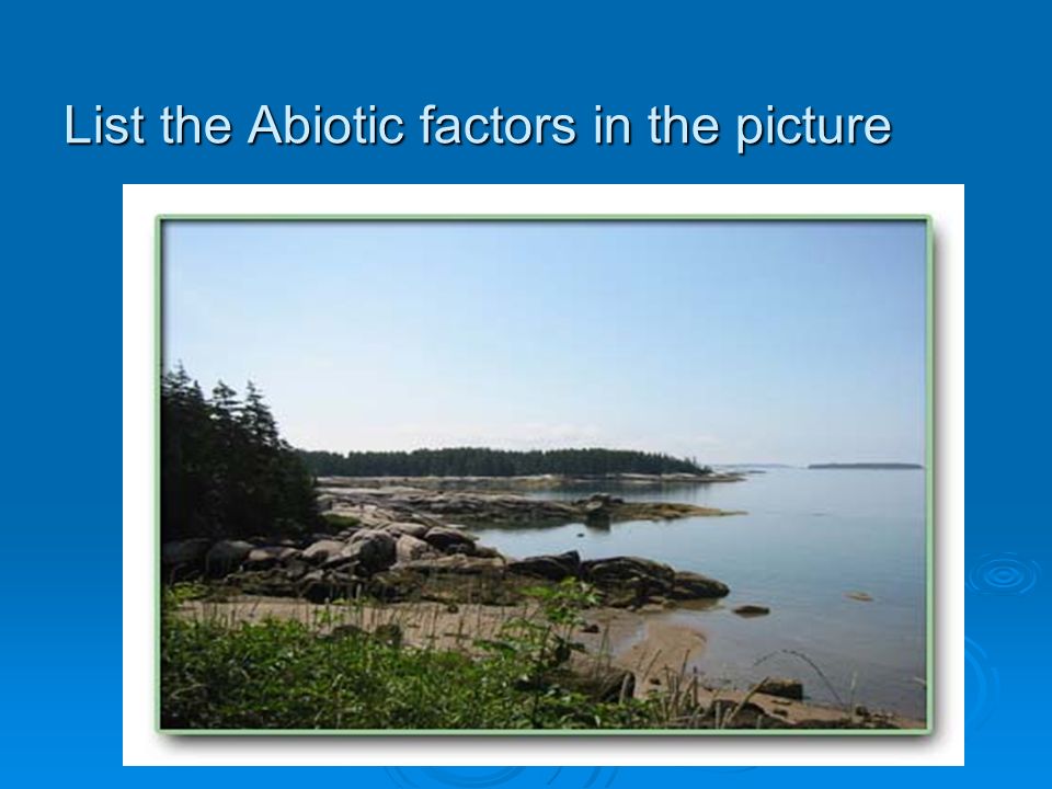 List the Abiotic factors in the picture