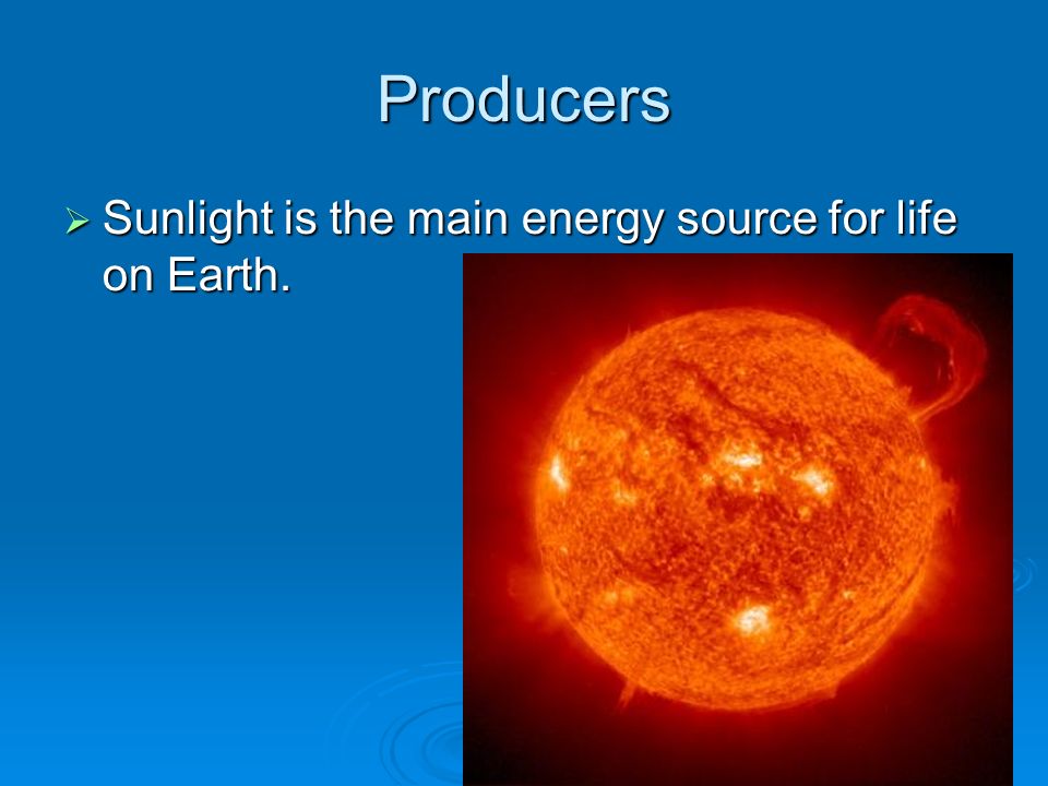 Producers Sunlight is the main energy source for life on Earth.