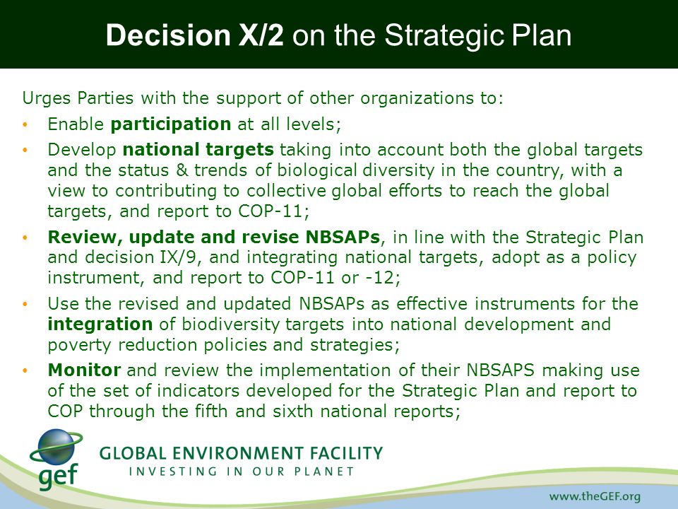 Decision X/2 on the Strategic Plan
